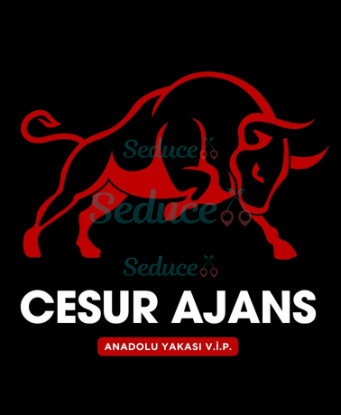 Cesur Agency