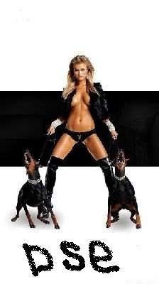 Doggy Style Escort