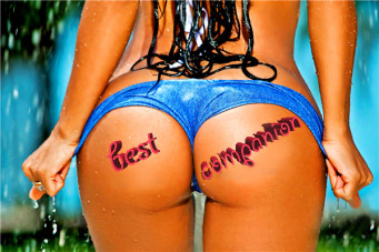 BestCompanion