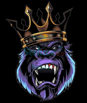 DOGU AGENCY
