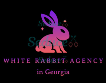 White Rabbit