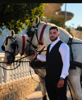 Male Escort
