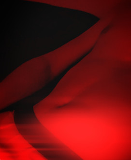 Male Escort