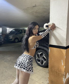 Trans Escort