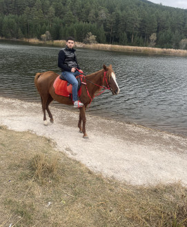 Male Escort